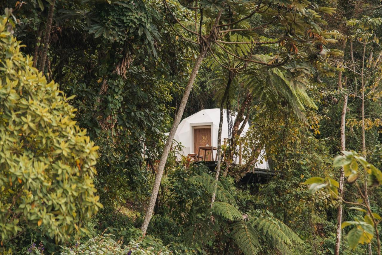 Terramia Estate Villa Minca Ngoại thất bức ảnh